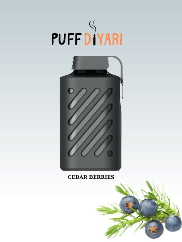 VOZOL GEAR 10000-PUFF DİSPOSABLE-VAPE CEDAR BERRİES
