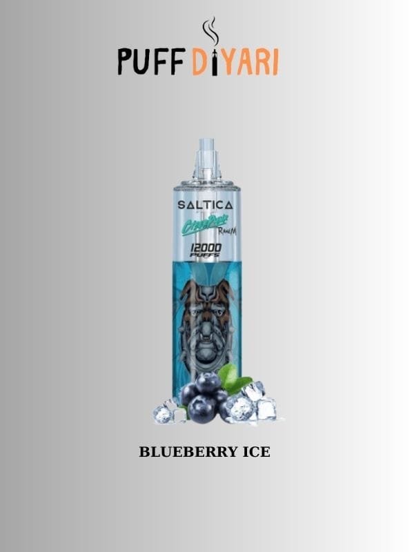 Saltica-Cyberpunk-12000-Puff-Blueberry-Ice