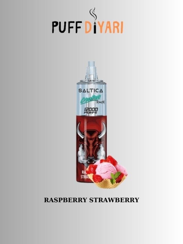 Saltica-Cyberpunk-12000-Puff-Raspberry-Strawberry