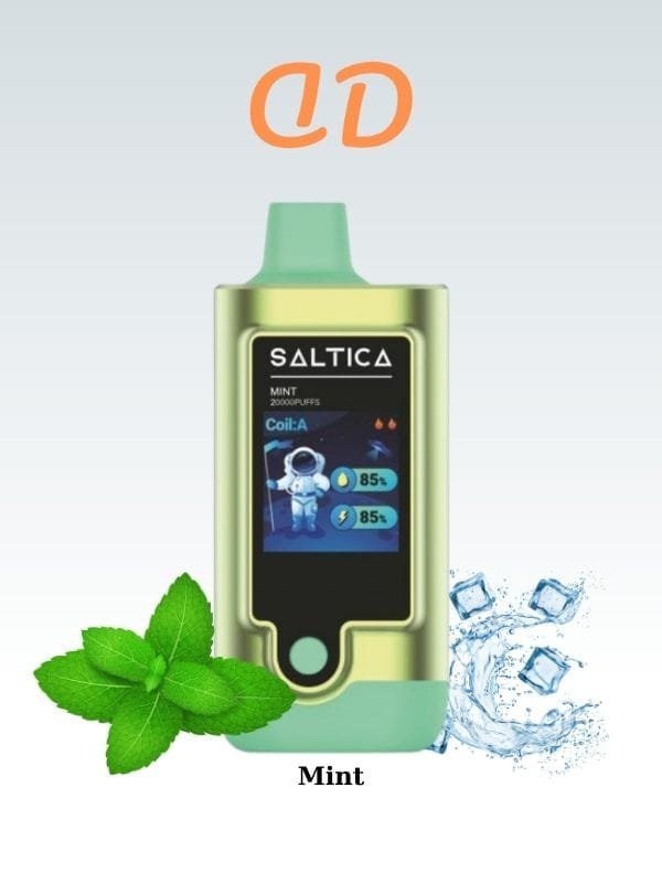 Saltica-20000-puff-Mint-Siparis-Ver-Duman-Diyari
